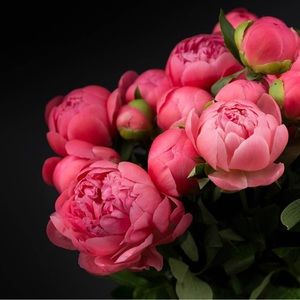 Meet your Posher, Aliyah